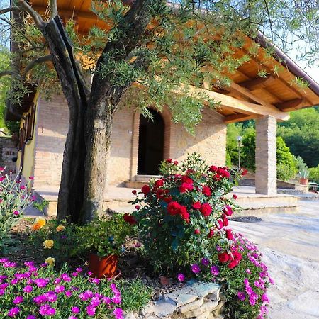 Agriturismo La Tana Citta di Castello Ngoại thất bức ảnh