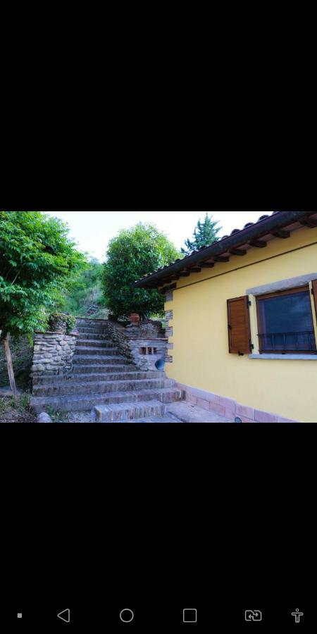 Agriturismo La Tana Citta di Castello Ngoại thất bức ảnh