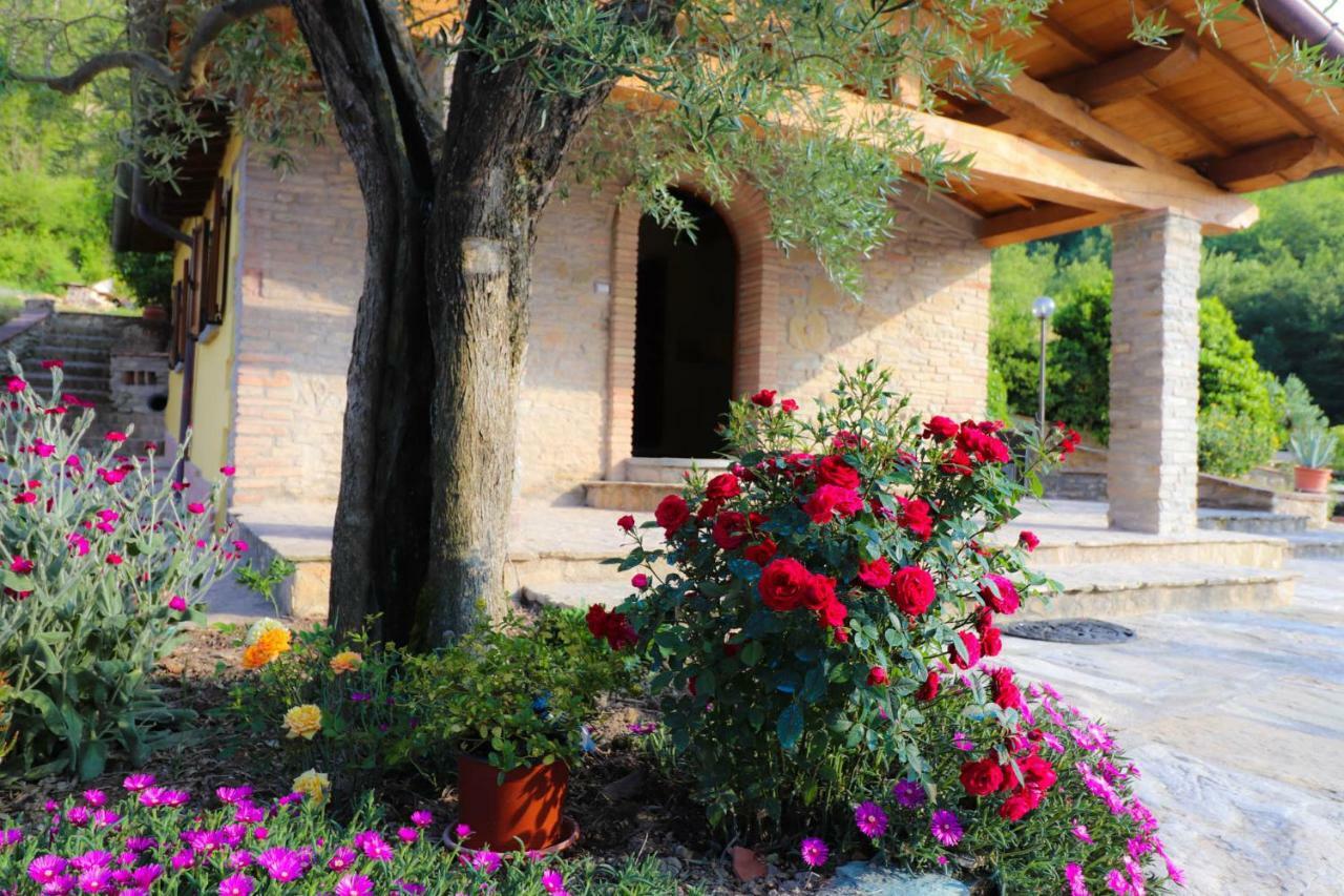 Agriturismo La Tana Citta di Castello Ngoại thất bức ảnh