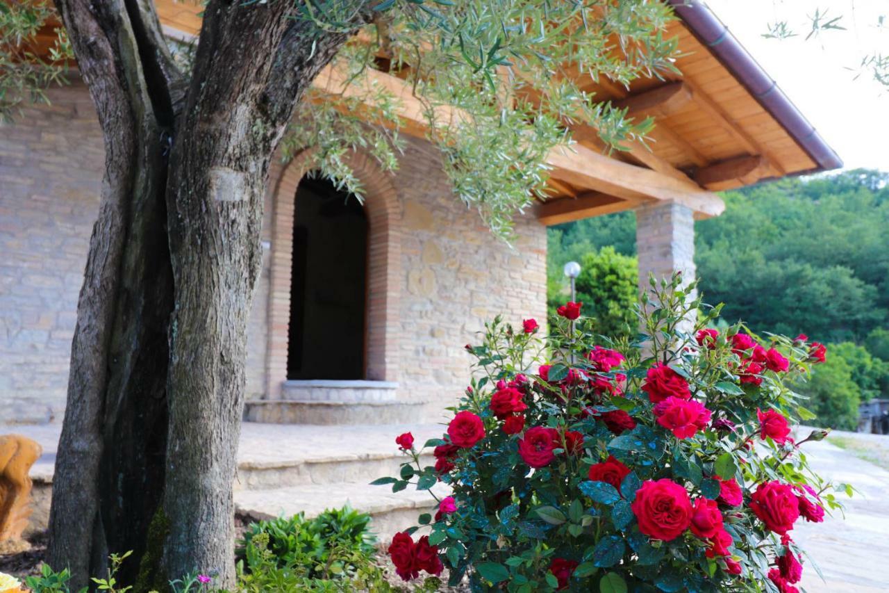 Agriturismo La Tana Citta di Castello Ngoại thất bức ảnh