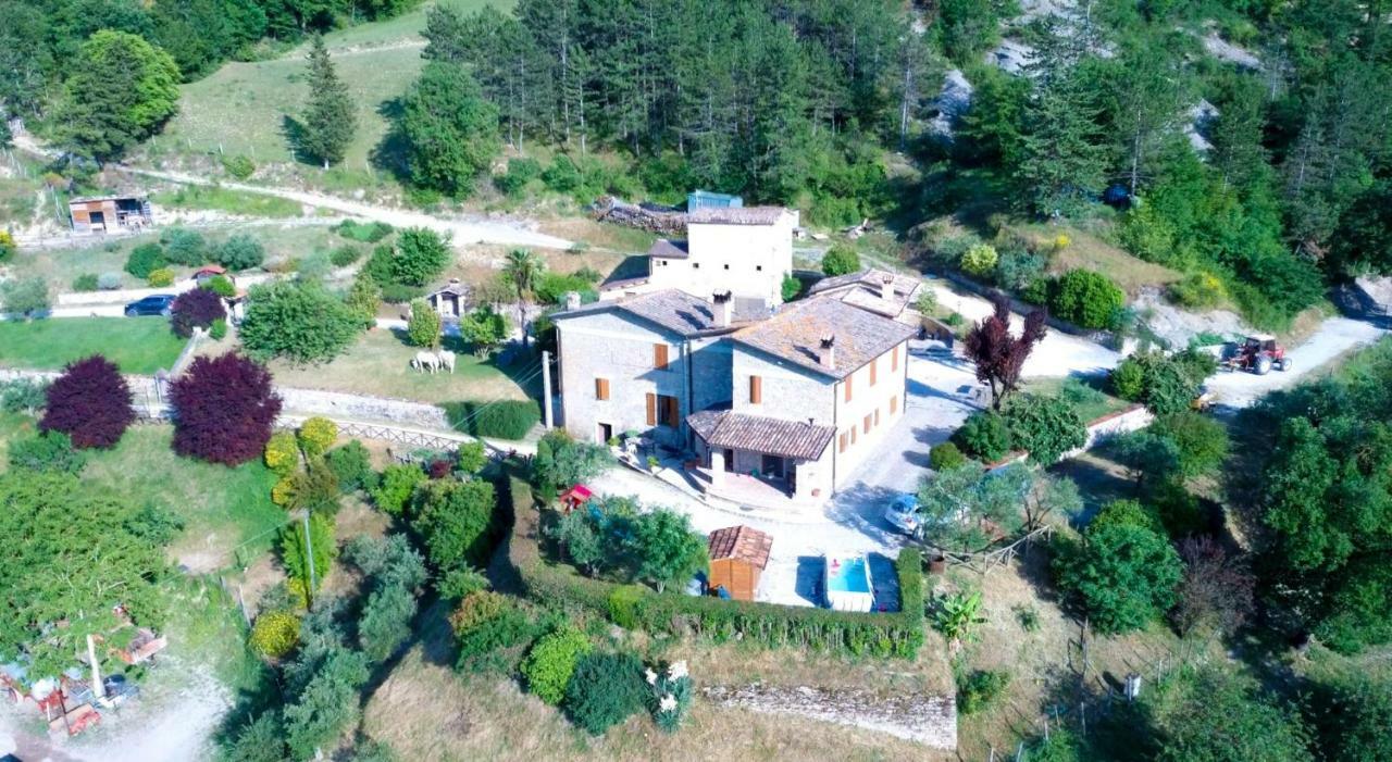 Agriturismo La Tana Citta di Castello Ngoại thất bức ảnh