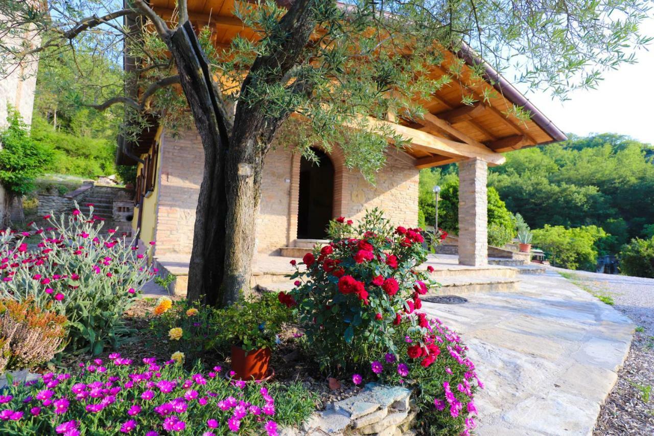 Agriturismo La Tana Citta di Castello Ngoại thất bức ảnh